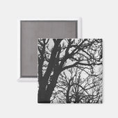 Europa, Frankrijk, Parijs. Winterbomen, Marco Magneet (Voorkant / Achterkant)