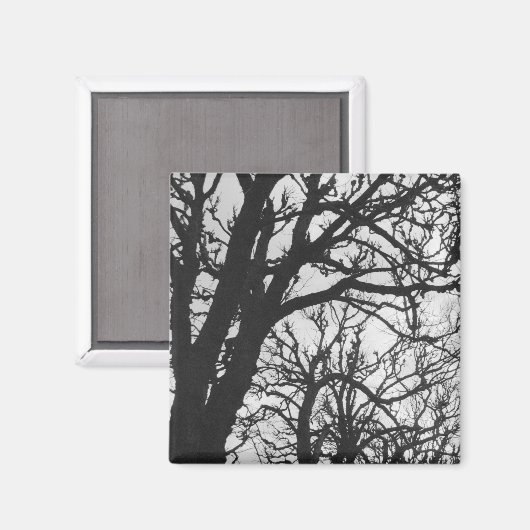 Europa, Frankrijk, Parijs. Winterbomen, Marco Magneet (Voorkant / Achterkant)