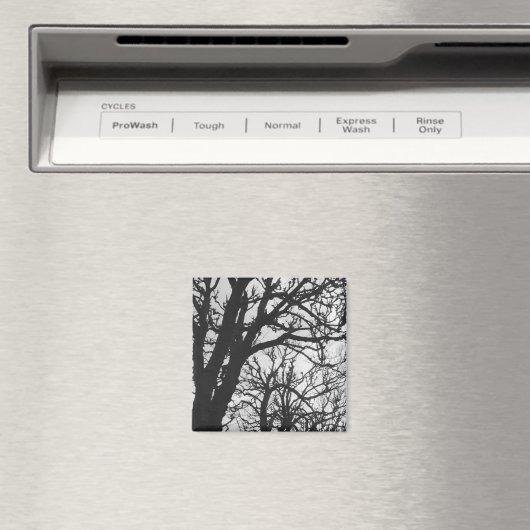 Europa, Frankrijk, Parijs. Winterbomen, Marco Magneet (Insitu (Vaatwasser))