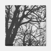 Europa, Frankrijk, Parijs. Winterbomen, Marco Magneet (Voorkant)