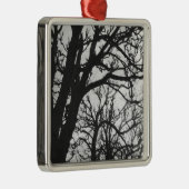 Europa, Frankrijk, Parijs. Winterbomen, Marco Metalen Ornament (Rechts)