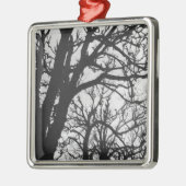 Europa, Frankrijk, Parijs. Winterbomen, Marco Metalen Ornament (Links)