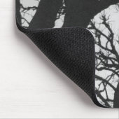 Europa, Frankrijk, Parijs. Winterbomen, Marco Muismat (Hoek)