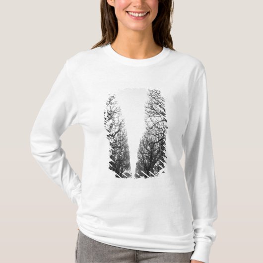 Europa, Frankrijk, Parijs. Winterbomen, Marco Polo (Voorkant)