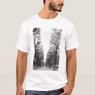 Europa, Frankrijk, Parijs. Winterbomen, Marco Polo
