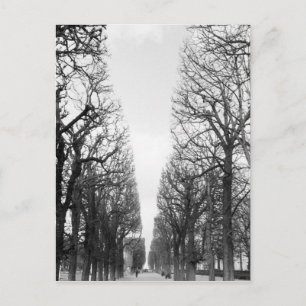 Europa, Frankrijk, Parijs. Winterbomen, Marco Polo Briefkaart