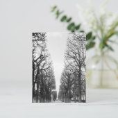 Europa, Frankrijk, Parijs. Winterbomen, Marco Polo Briefkaart (Staand voorkant)