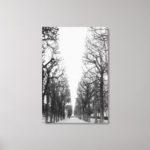 Europa, Frankrijk, Parijs. Winterbomen, Marco Polo Canvas Afdruk