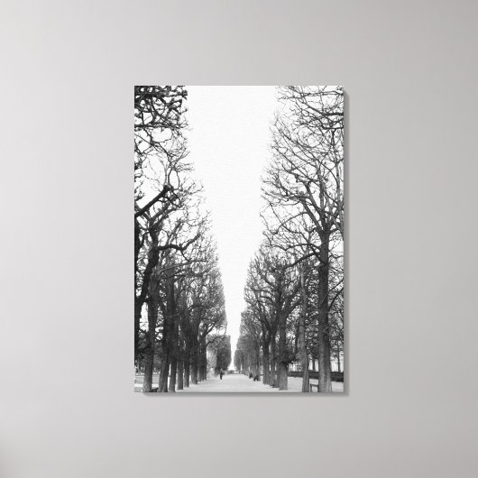 Europa, Frankrijk, Parijs. Winterbomen, Marco Polo Canvas Afdruk (Voorkant)