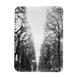 Europa, Frankrijk, Parijs. Winterbomen, Marco Polo Magneet