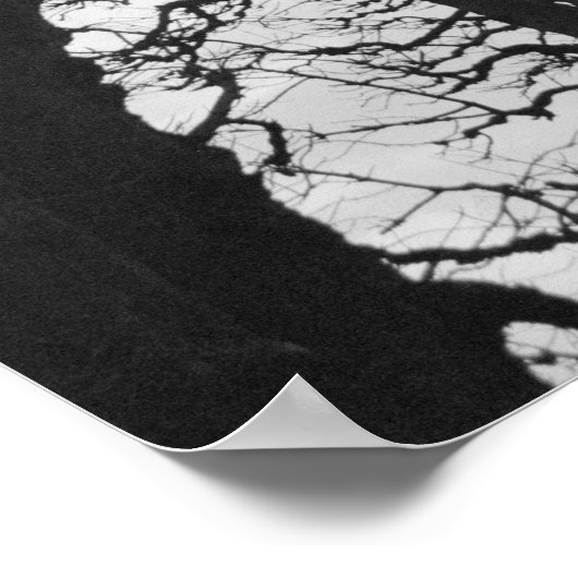 Europa, Frankrijk, Parijs. Winterbomen, Marco Poster (Hoek)