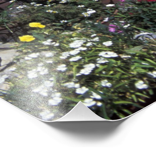 Europa, Frankrijk, Provence, Aix-en-Provence. Foto Afdruk (Hoek)