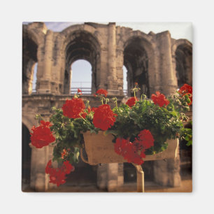 Europa, Frankrijk, Provence, Arles, Bouches, du Magneet