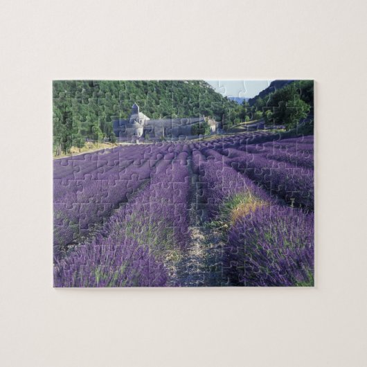 Europa, Frankrijk, Provence. Lavander-velden Legpuzzel (Horizontaal)