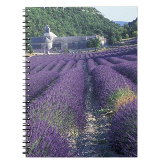 Europa, Frankrijk, Provence. Lavander-velden Notitieboek (Voorkant)