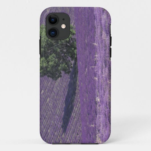 Europa, Frankrijk, Provence, Sault, Lavendelvelden Case-Mate iPhone Case (Achterkant)