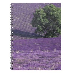 Europa, Frankrijk, Provence, Sault, Lavendelvelden Notitieboek