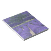 Europa, Frankrijk, Provence, Sault, Lavender field Notitieblok (Schuin)