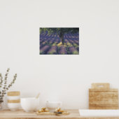 Europa, Frankrijk, Provence, Sault, Lavender Poster (Keuken)