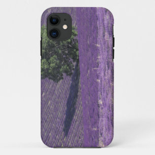 Europa, Frankrijk, Provence, Sault, Lavender-velde Case-Mate iPhone Case