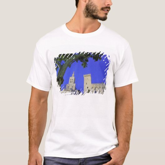 Europa, Frankrijk, Provence, Vaucluse, Avignon. T-shirt (Voorkant)