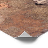 Europa, Frankrijk, Roussillon. Ivy bedekt de muur Poster (Hoek)