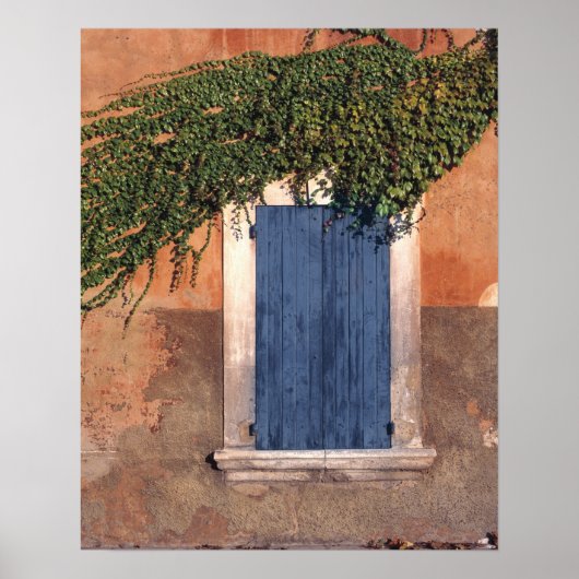 Europa, Frankrijk, Roussillon. Ivy bedekt de muur Poster (Voorkant)