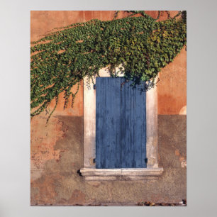 Europa, Frankrijk, Roussillon. Klimop bedekt de mu Poster