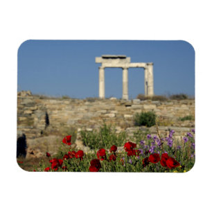 Europa, Griekenland, Cycladen, Delos. Kolomruïne. Magneet