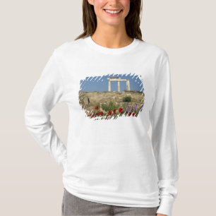 Europa, Griekenland, Cycladen, Delos. Zuil ruïnes. T-shirt