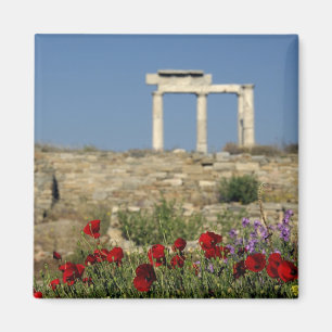 Europa, Griekenland, Cycladen, Delos. Zuilen ruïne Magneet