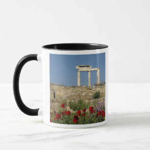 Europa, Griekenland, Cycladen, Delos. Zuilen ruïne Mok