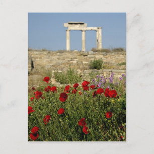 Europa, Griekenland, Cycladen, Delos. Zuilruïnes.  Briefkaart