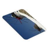 Europa, Griekenland, Mykonos. Magneet (Rechterzijde)