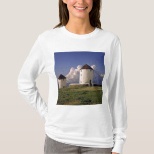 Europa, Griekenland, Mykonos. Witgeschilderd T-shirt