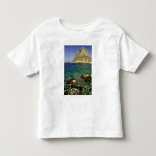 Europa, Griekenland, Peloponnesos, Monemvasia. De Kinder Shirts