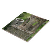 Europa, Ierland, Blarney Castle. DIT AFBEELDING Tegeltje (Zijkant)