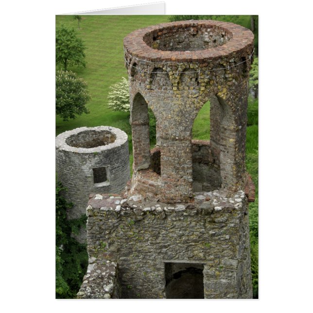 Europa, Ierland, Kasteel van Blarney. DEZE AFBEELD (Voorkant)