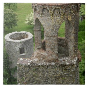 Europa, Ierland, Kasteel van Blarney. DEZE AFBEELD Tegeltje