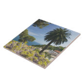 Europa, Italië, Campanië (kust van Amalfi), Tegeltje (Zijkant)