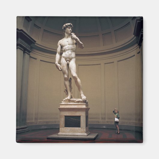 Europa, Italië, Florence. De werkelijke omvang van Magneet (Voorkant)