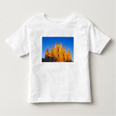 Europa, Italië, Milaan, de kathedraal van Milaan Kinder Shirts (Voorkant)