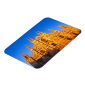 Europa, Italië, Milaan, de kathedraal van Milaan Magneet (Linkerzijde)