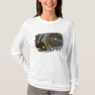 Europa, Italië, Rome. Sint-Pietersbasiliek (ook we T-shirt