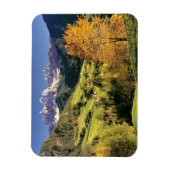 Europa, Italië, Santa Magdalena. Het kleine Magneet (Verticaal)