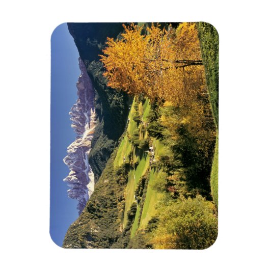 Europa, Italië, Santa Magdalena. Het kleine Magneet (Verticaal)