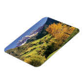 Europa, Italië, Santa Magdalena. Het kleine Magneet (Linkerzijde)