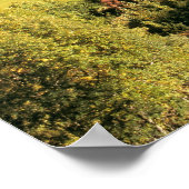 Europa, Italië, Santa Magdalena. Het kleine Poster (Hoek)