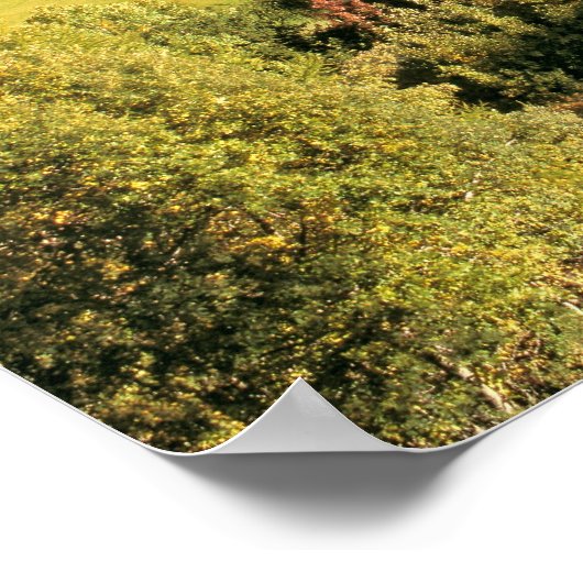 Europa, Italië, Santa Magdalena. Het kleine Poster (Hoek)