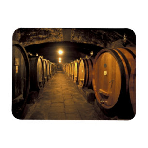 Europa, Italië, Toscana. Chianti-cellars Magneet